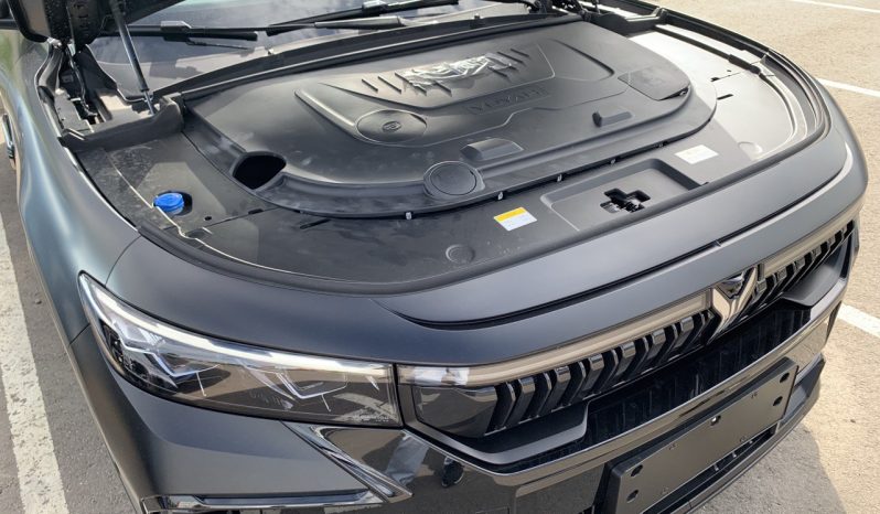 Voyah Free, 2023 full